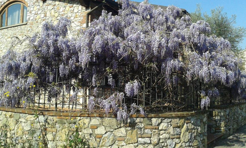 Pietra E Glicine B&B Пьеве-а-Ньеволе Экстерьер фото